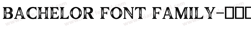Bachelor Font Family字体转换